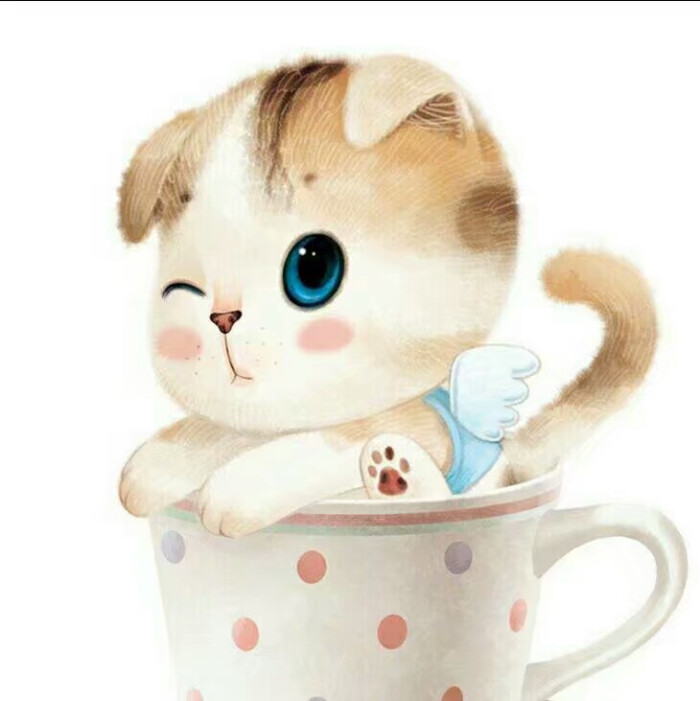 四人闺蜜头像 杯子萌猫