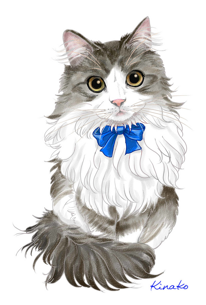 猫咪 插画 by kinakojapan