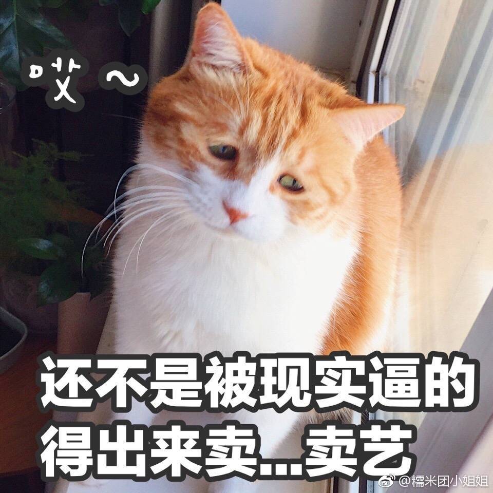 网黄喵曰日#生活所迫换办法.