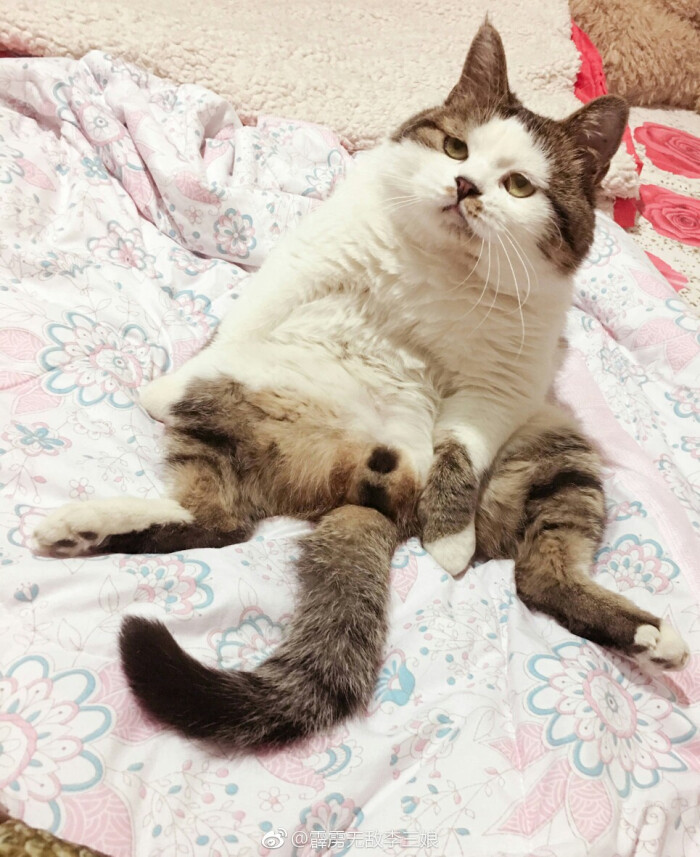 葛优瘫