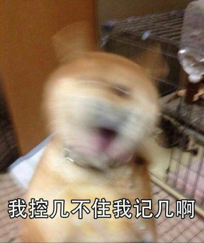 表情包 累觉不爱