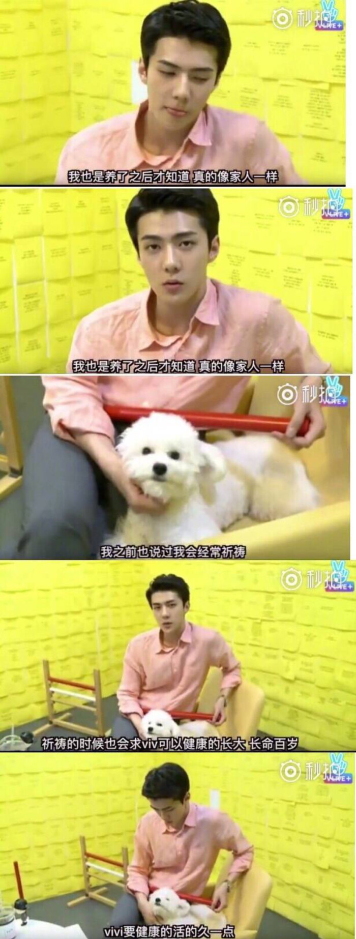 吴世勋和vivi