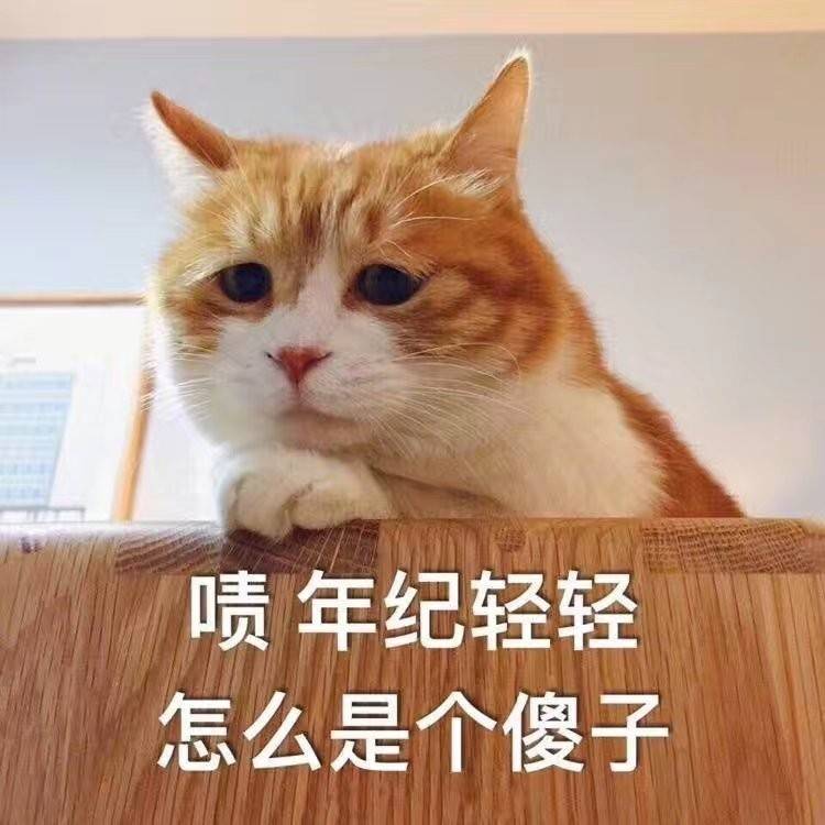 年纪轻轻怎么是个傻子