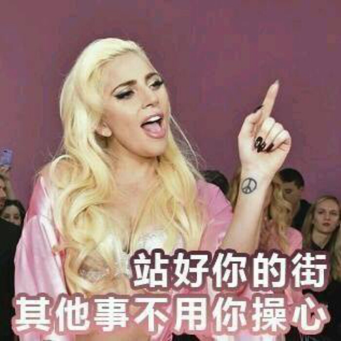 lady gaga表情包