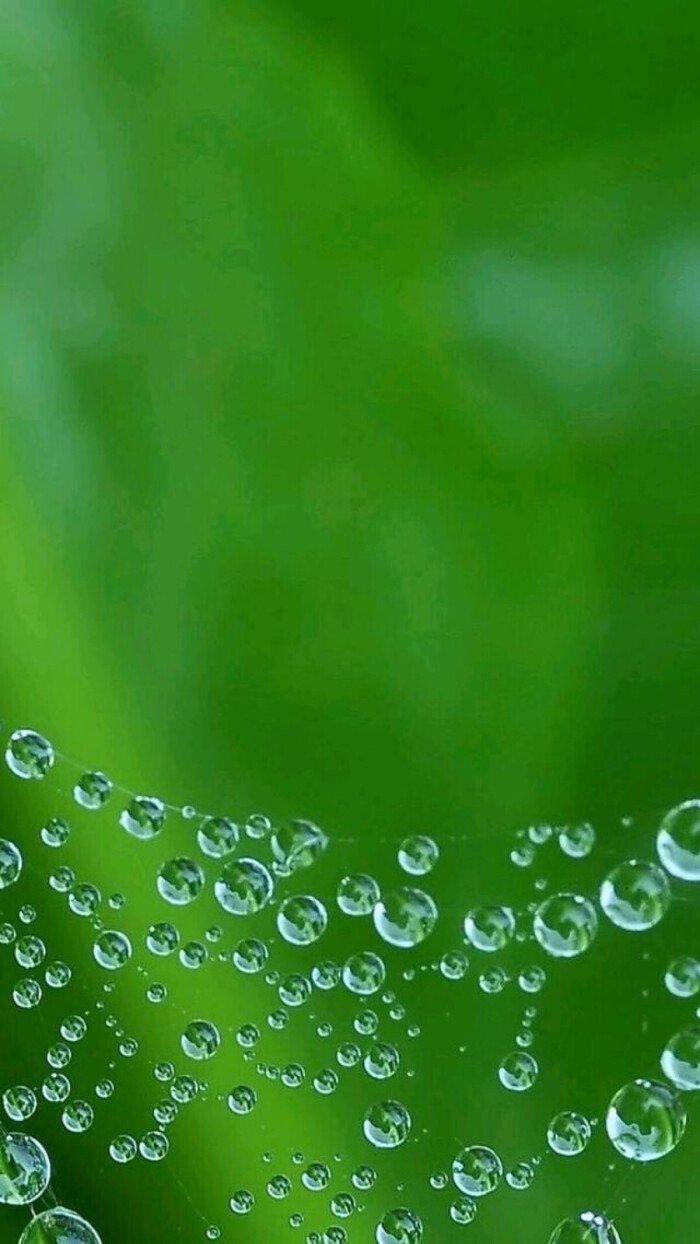 护眼