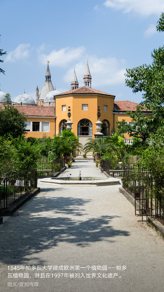 帕多瓦大学