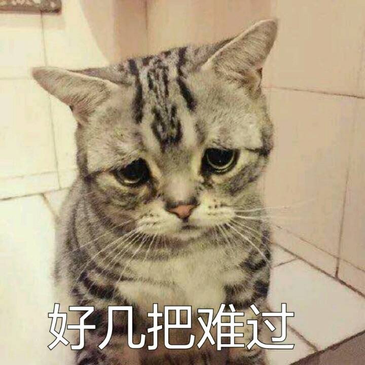好几把难过 猫猫表情包