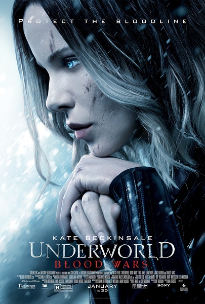 【黑夜传说5:血战 underworld: blood wars】不咋滴.