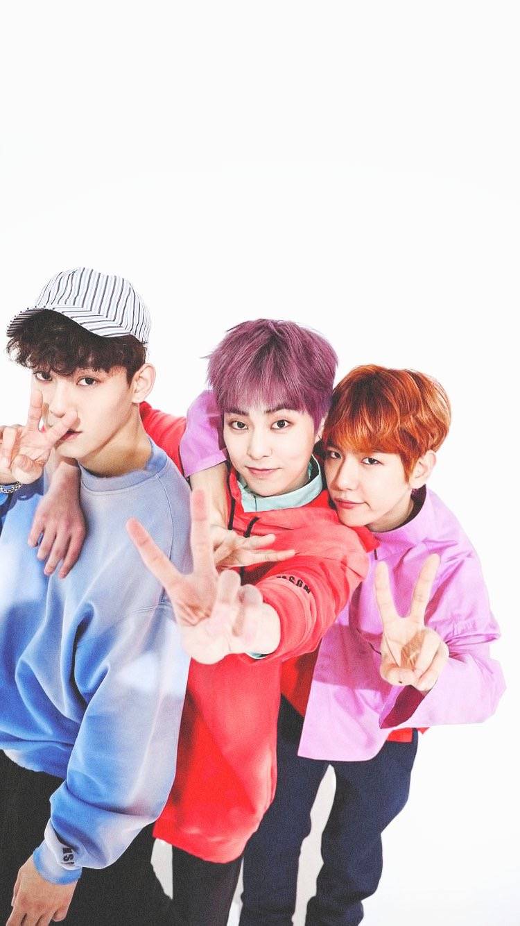 exo-cbx