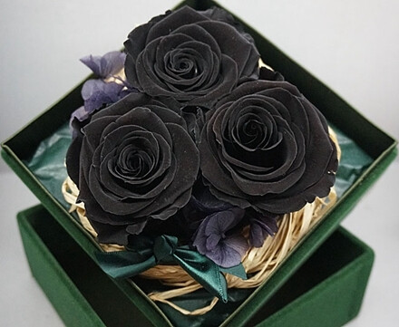 常见的黑色月季切花有两种,一种叫"黑魔术",花型规则美观,厚厚花瓣上
