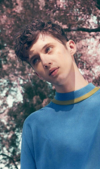 troye sivan 特洛伊 希文 戳爷 明星 壁纸 锁屏 画报