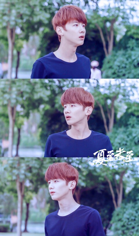 夏至未至 白敬亭 修图(cr:绾颜翕)