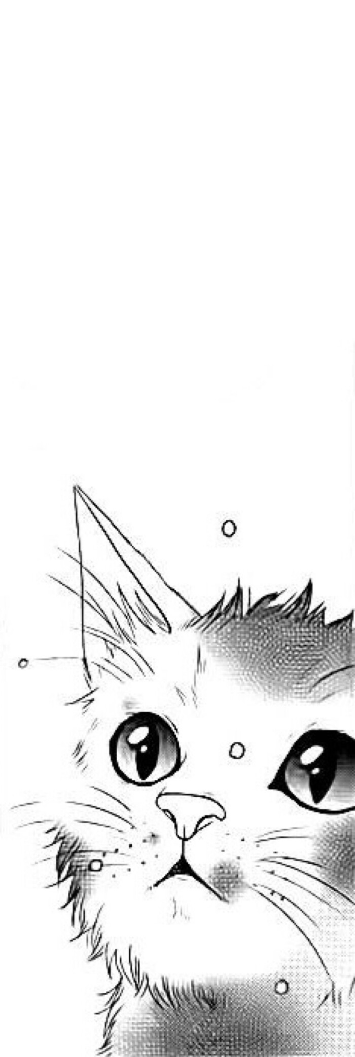 猫,漫画,黑白 - 堆糖,美图壁纸兴趣社区