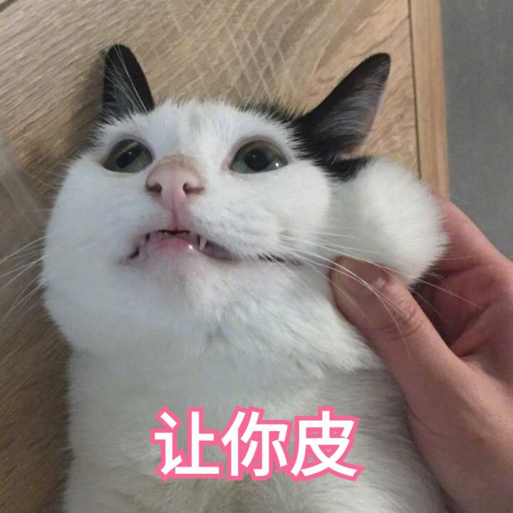 来源 微博 猫咪表情包