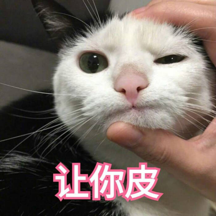 来源 微博 猫咪表情包