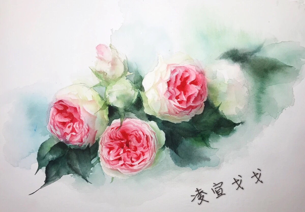 水彩月季花