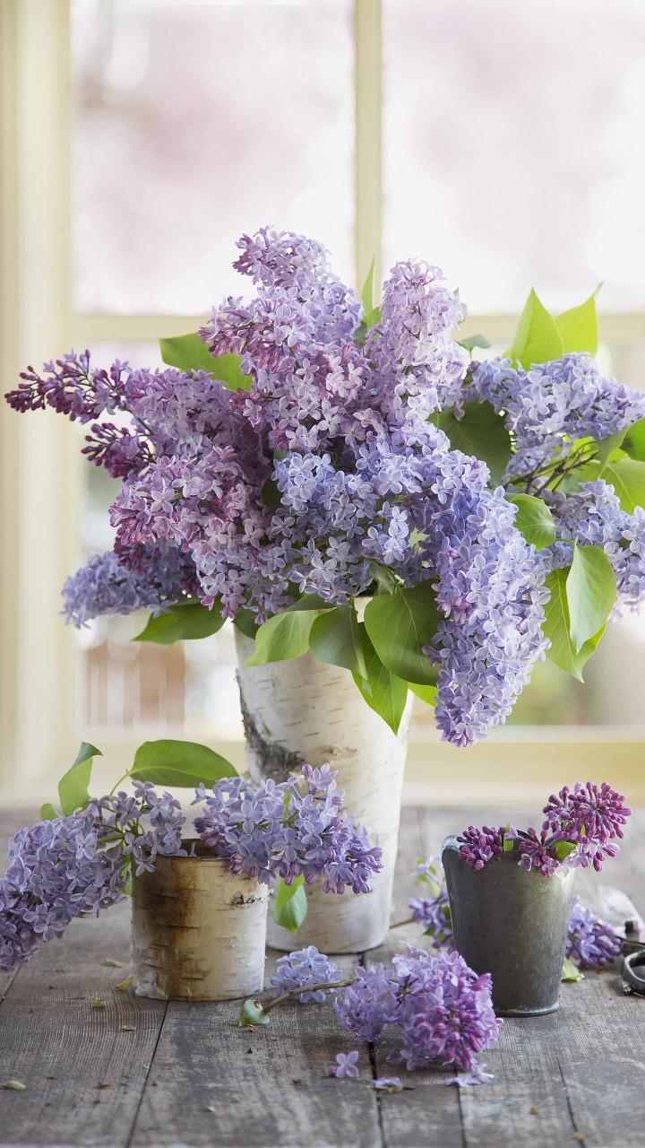 华为锁屏 装饰 花朵 紫蓝色 丁香花