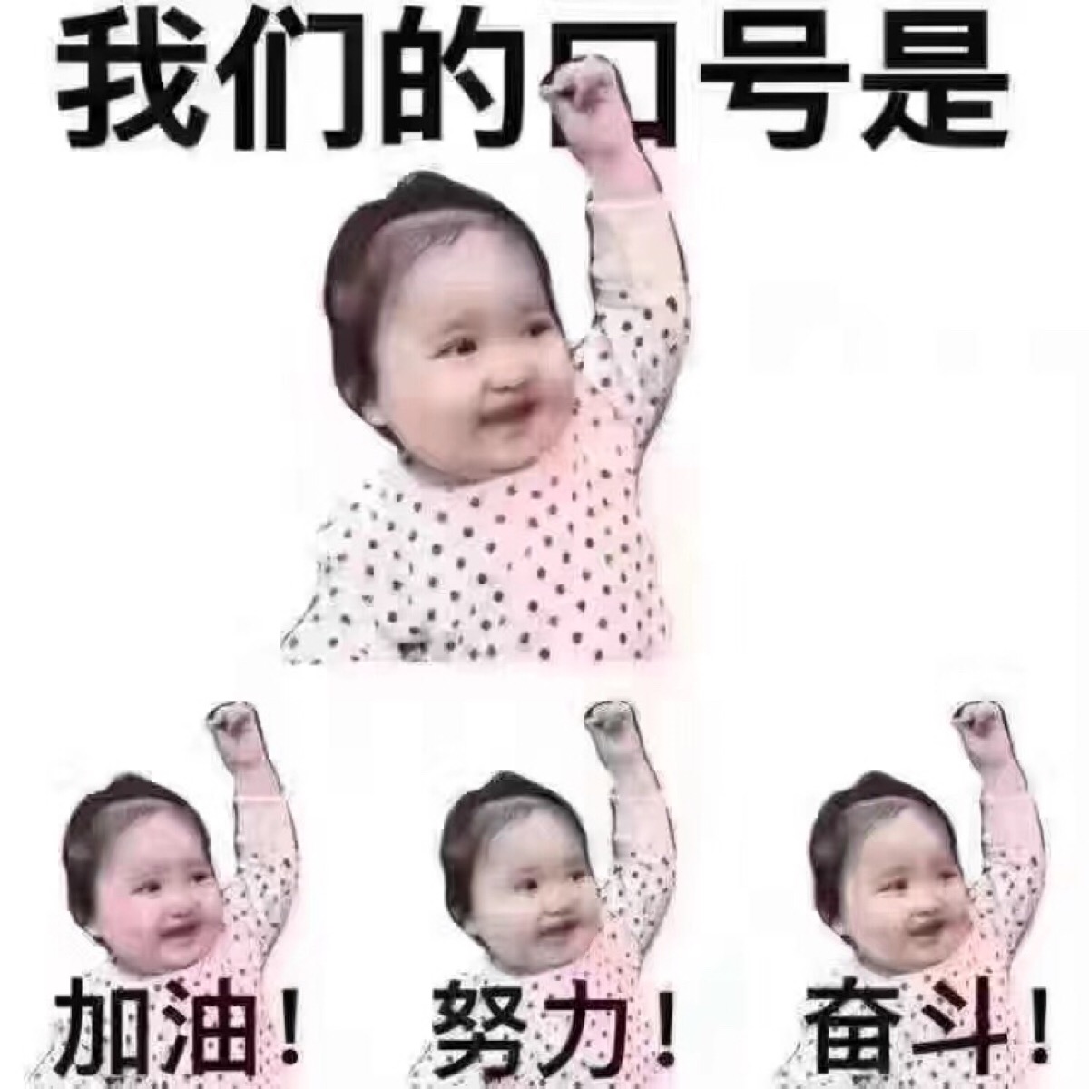 我们的口号是:加油!努力!奋斗!