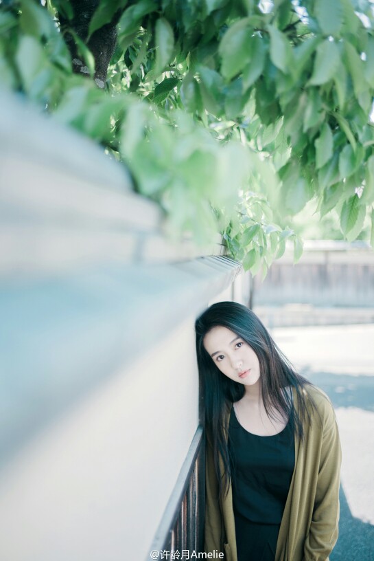 likelike 