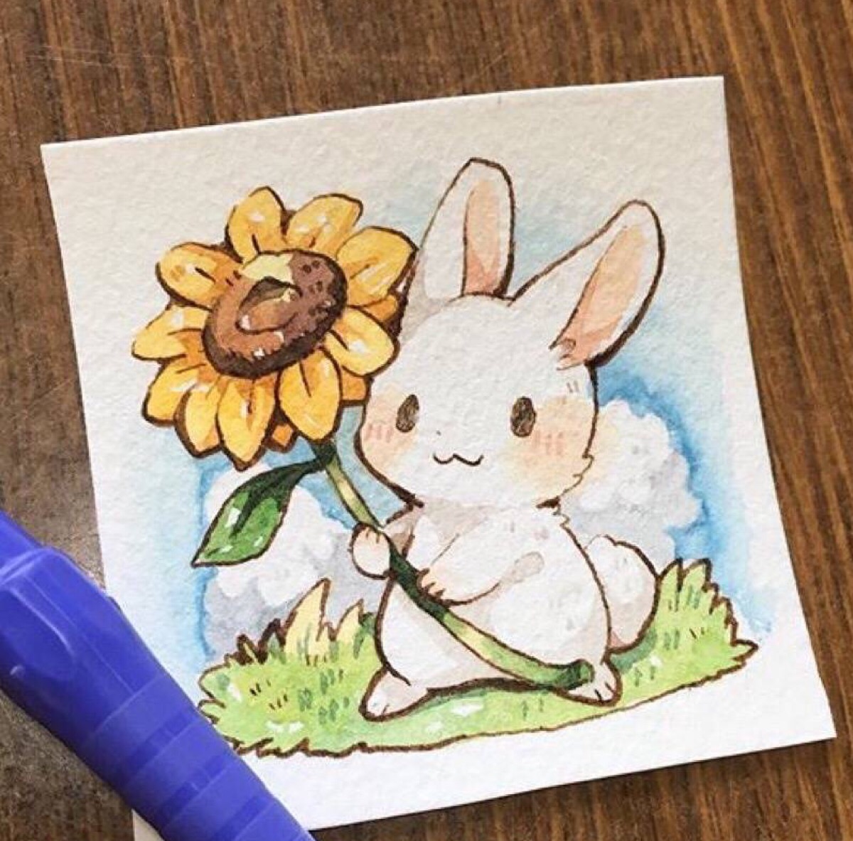 彩绘 兔子