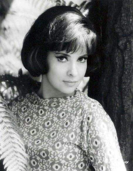 吉娜·劳洛勃丽吉达 gina lollobrigida