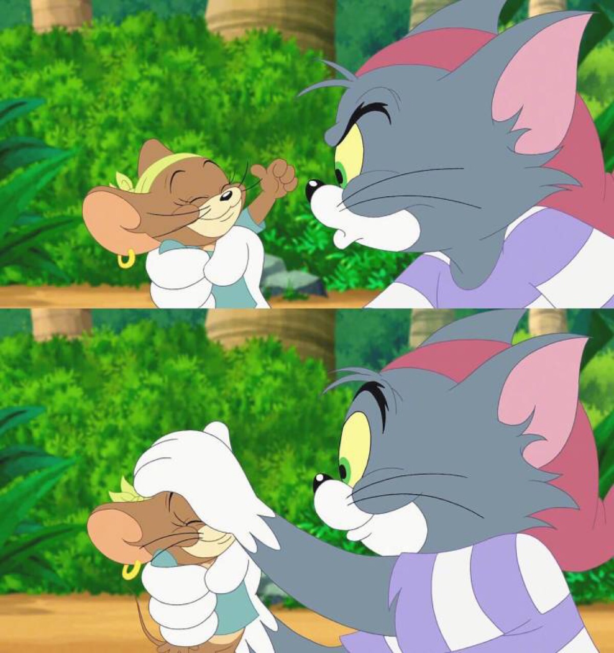 猫和老鼠