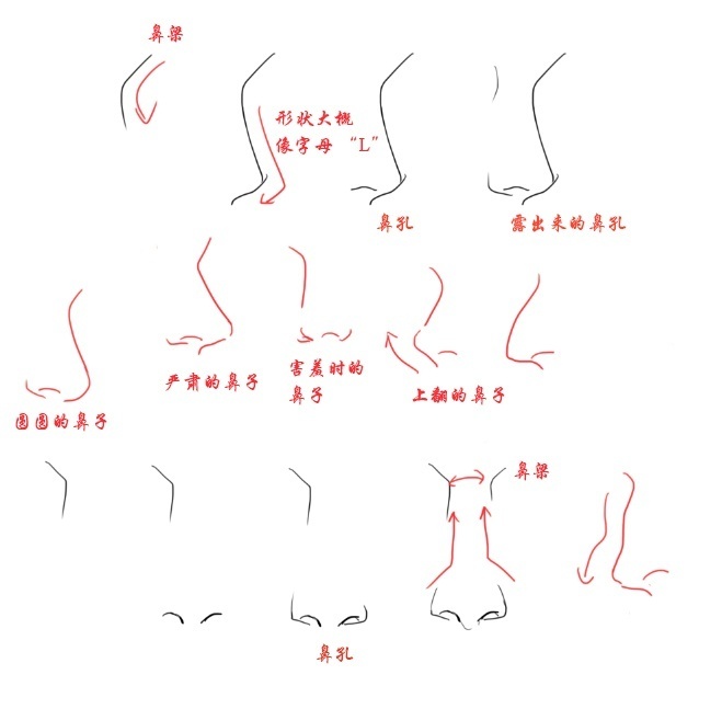 耳朵和鼻子的设计绘制画法