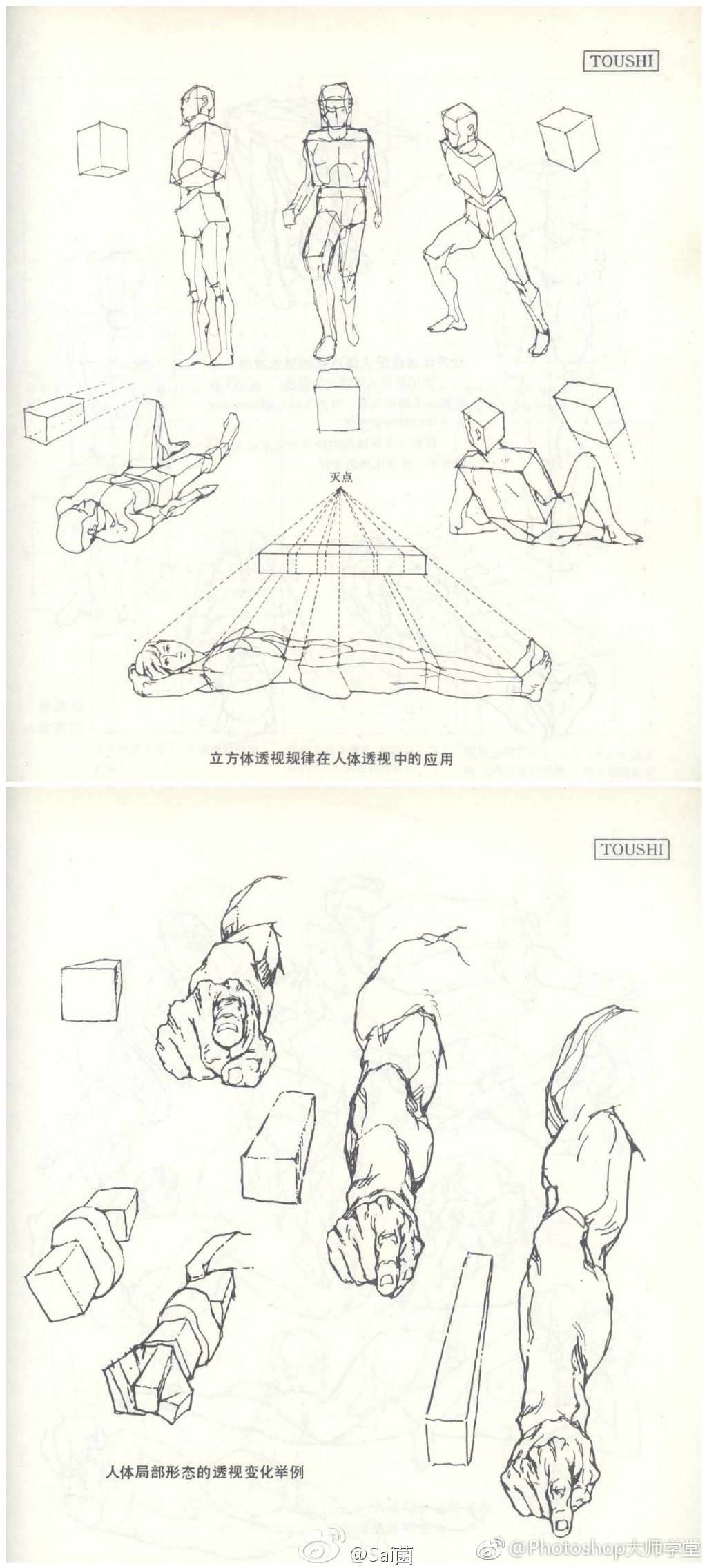 人体造型基础——人体透视,很详细很不错的教程参考,基础功需扎实!