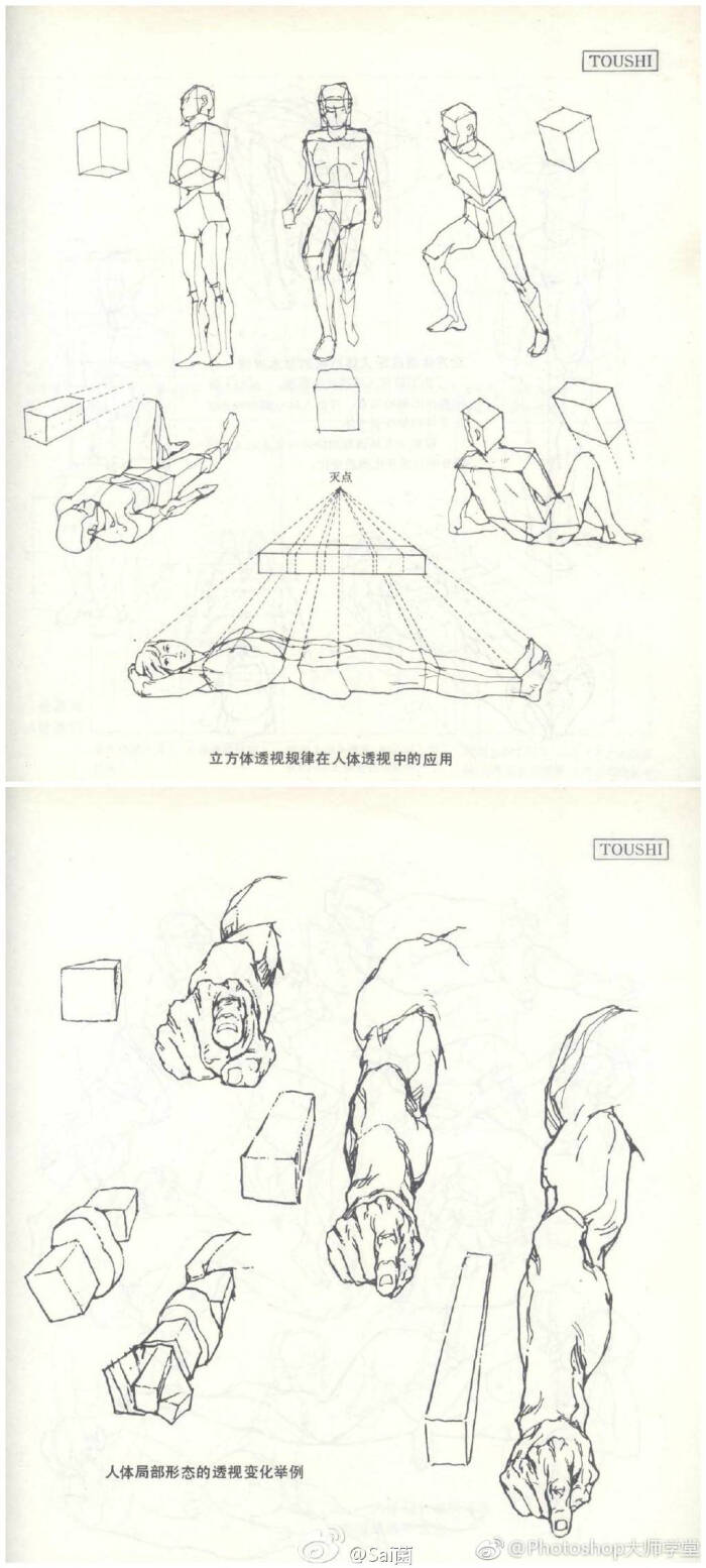 人体造型基础——人体透视,很详细很不错的教程参考,基础功需扎实!