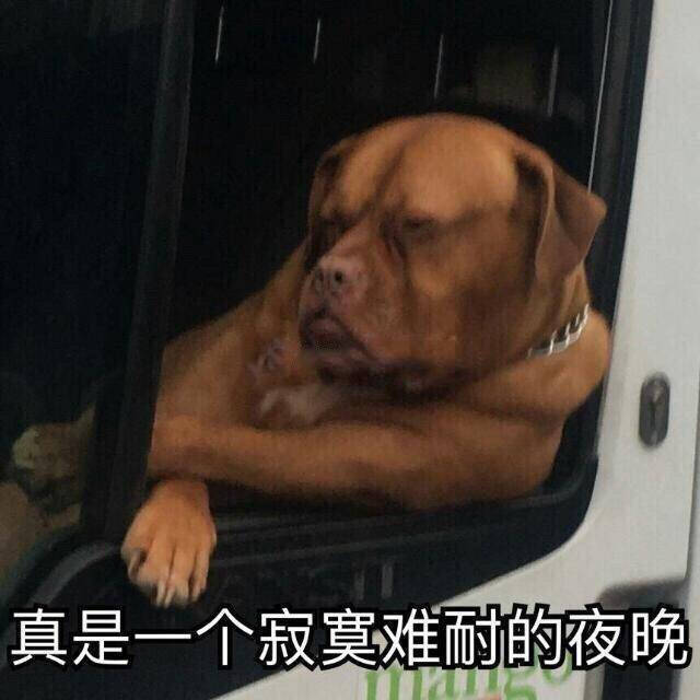 一大波狗狗表情包