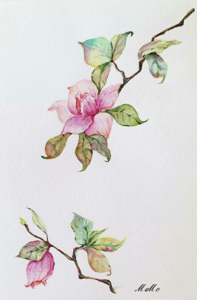 《水彩唯美花朵》来自:搜狐网 艺伙国际水彩小白如何画好一幅唯美花朵