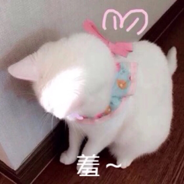 羞羞