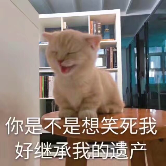 表情包 猫 猫咪 你是不是想笑死我 好继承我的遗产