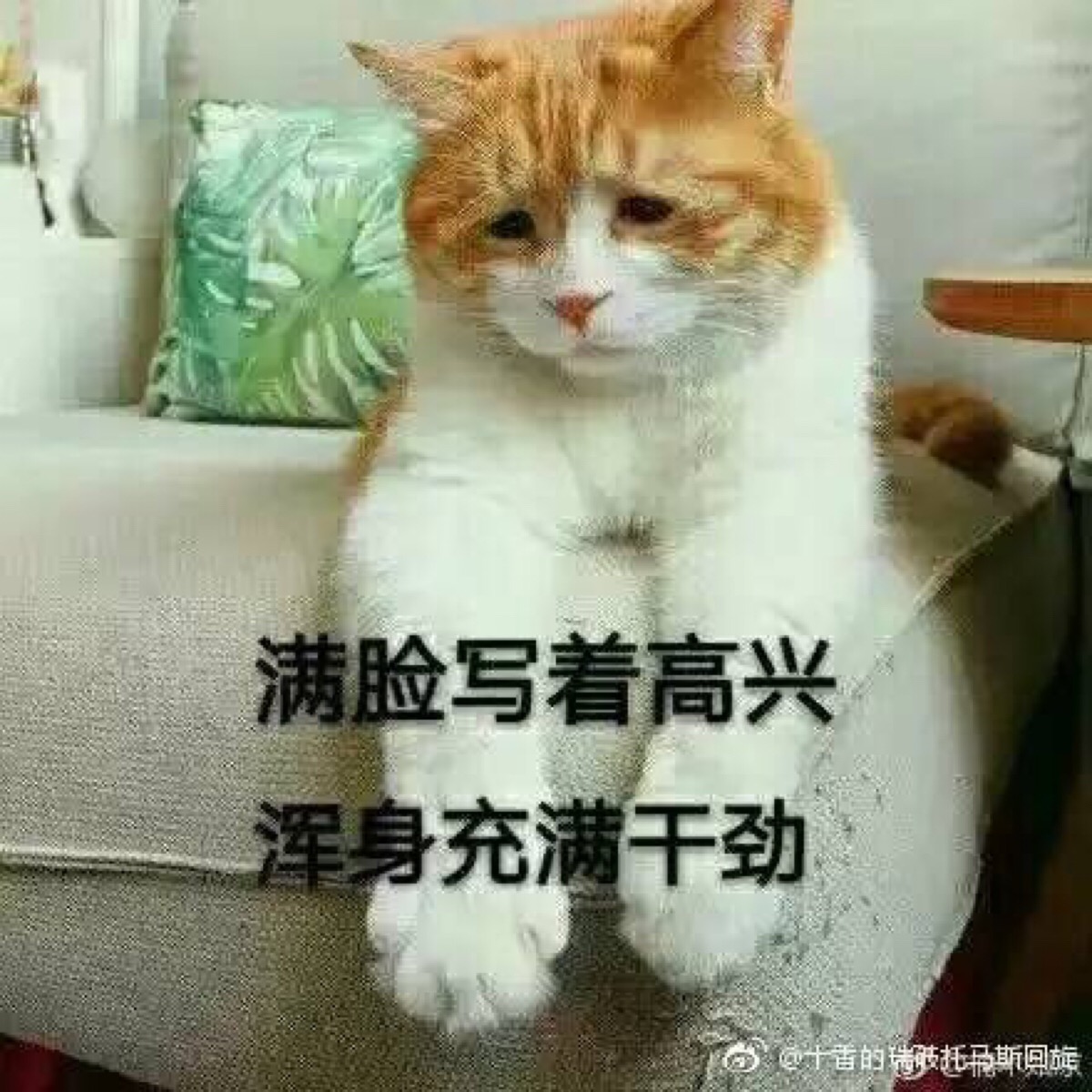 满脸写着高兴,浑身充满干劲