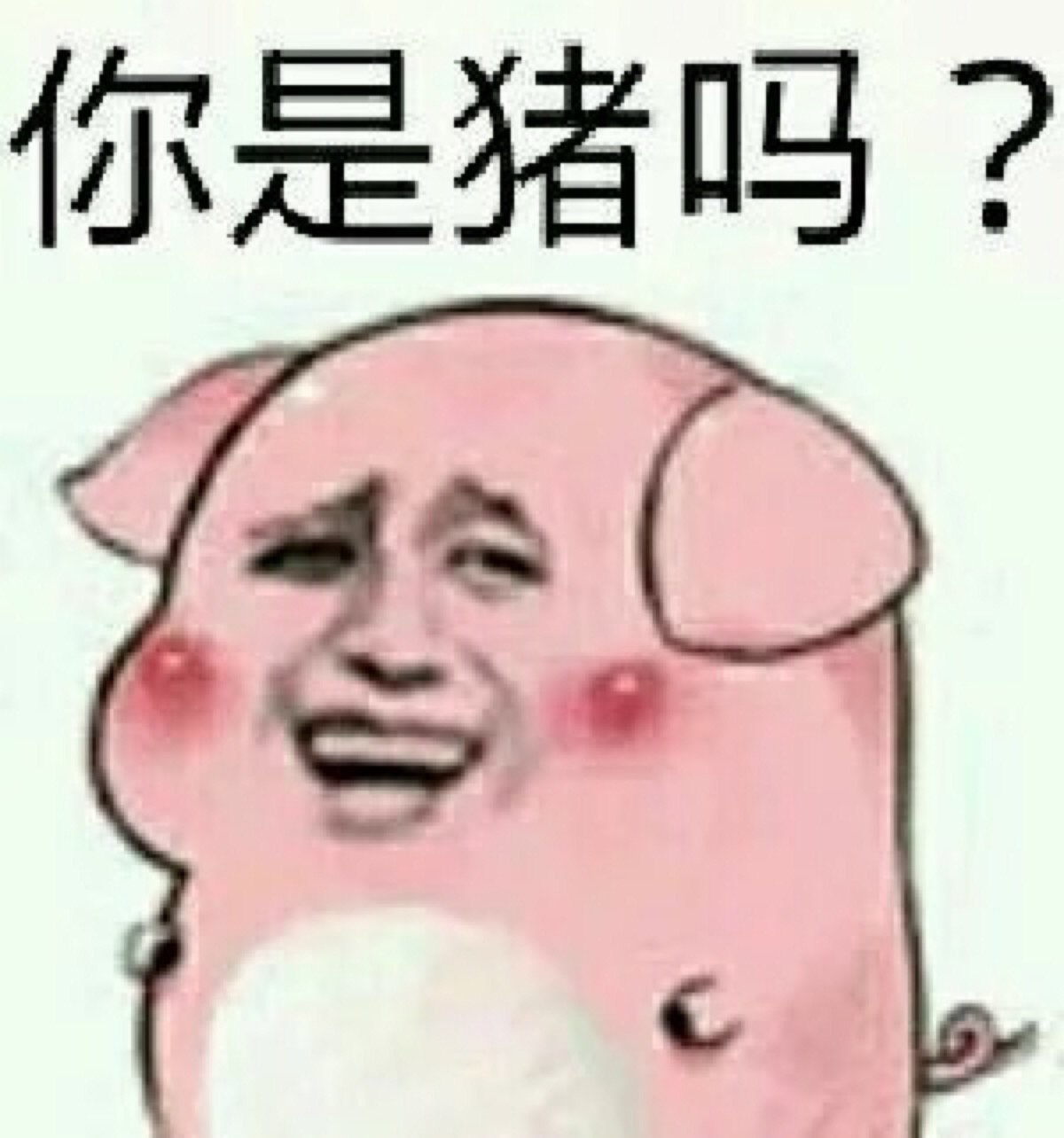 你是猪吗