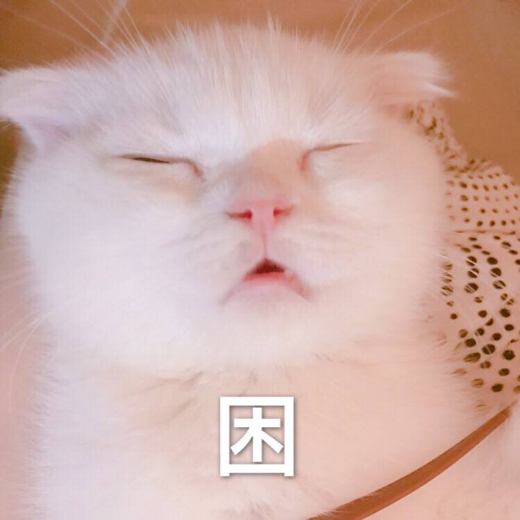 喵呜来源 微博 猫咪表情包