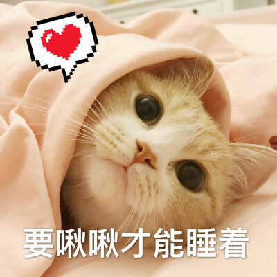 喵呜来源 微博 猫咪表情包