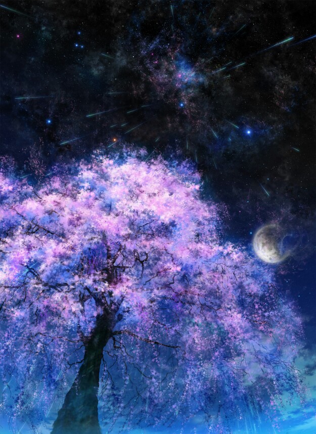 夜空 星空 极光 流星 樱花
