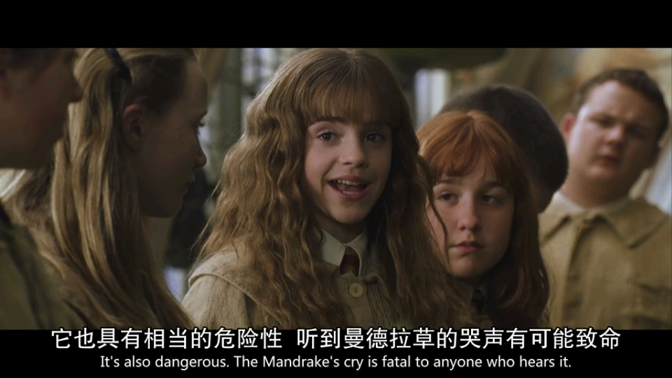 闺蜜头像.双笙.自截.哈利波特.赫敏格兰杰.emma watson.