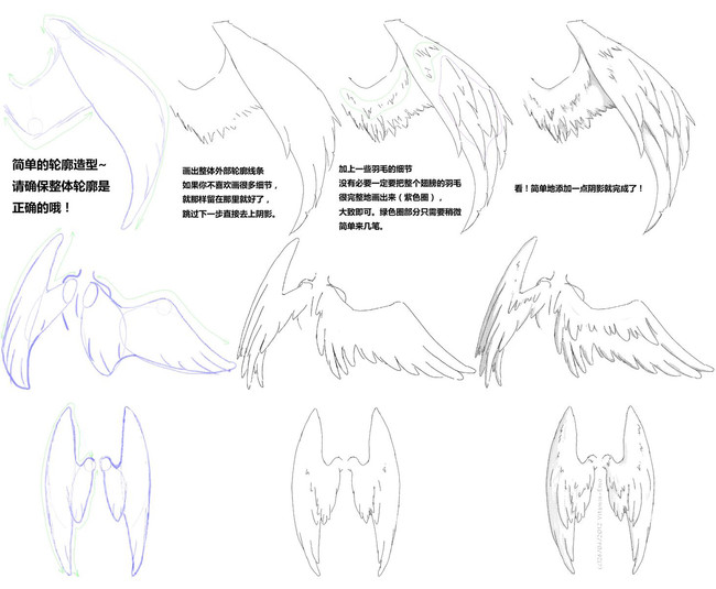 关于翅膀的画法教程转自微博@绘画学院