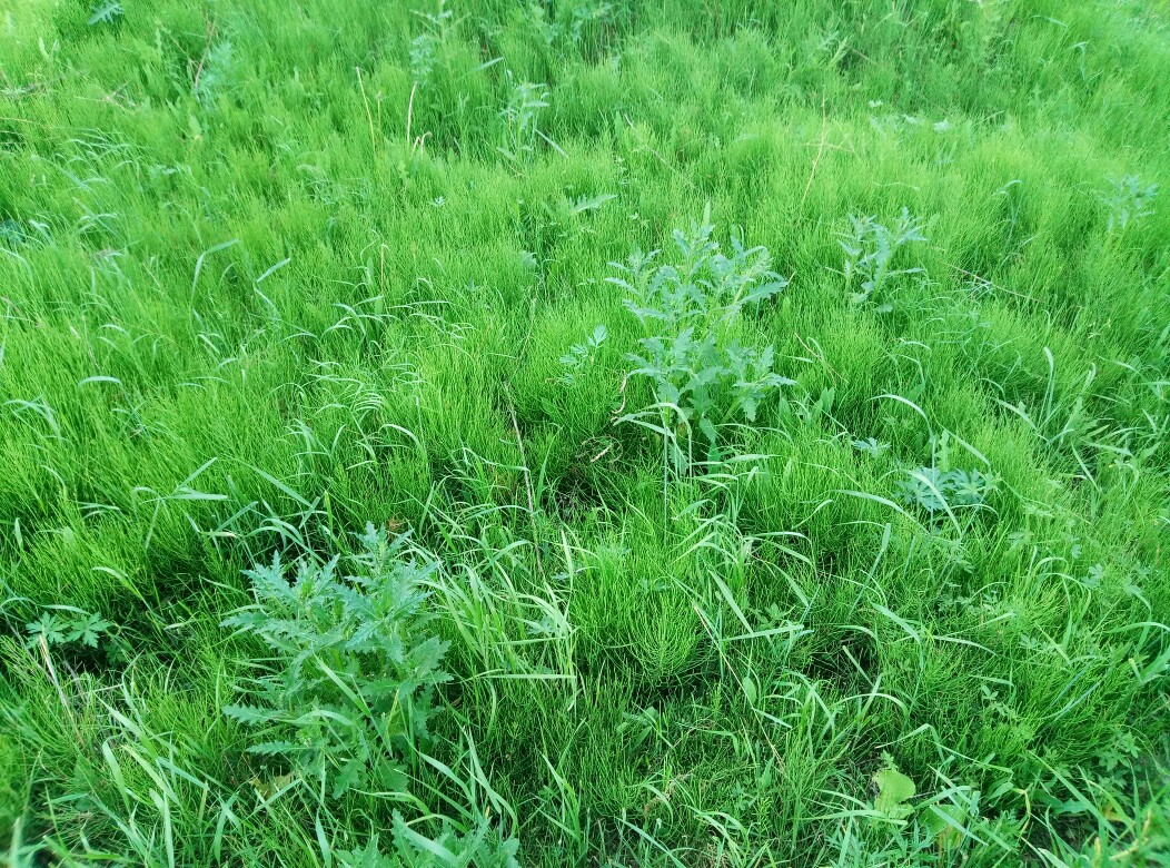 堆糖网