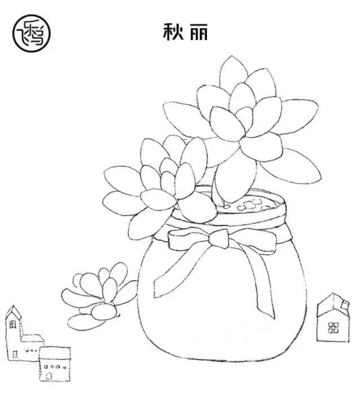 多肉线稿