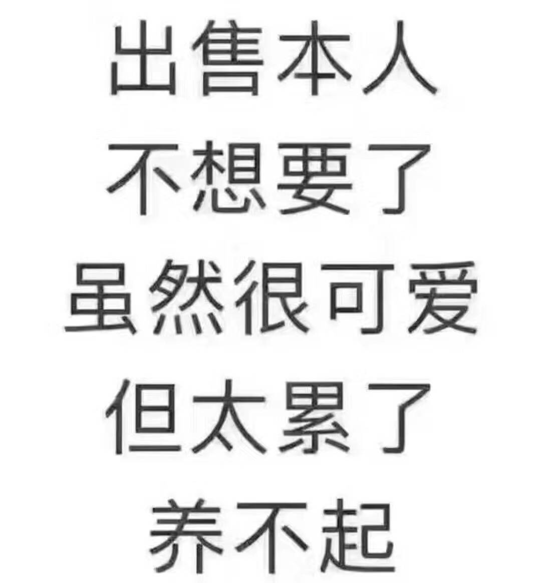 表情 出售本人 虽然很可爱 但太累了 养不起