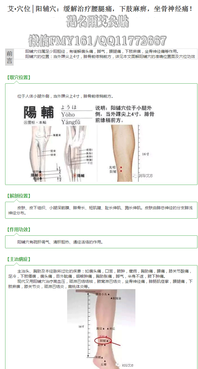 阳辅穴:缓解治疗腰腿痛,下肢麻痹,坐骨神经痛!