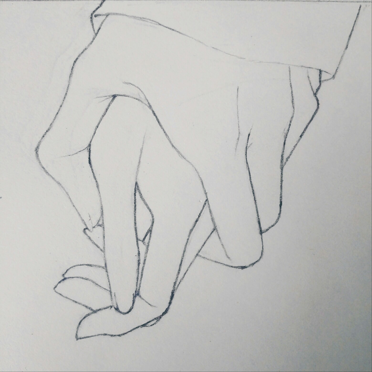 执子之手——赠双狗