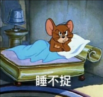 猫和老鼠表情包
