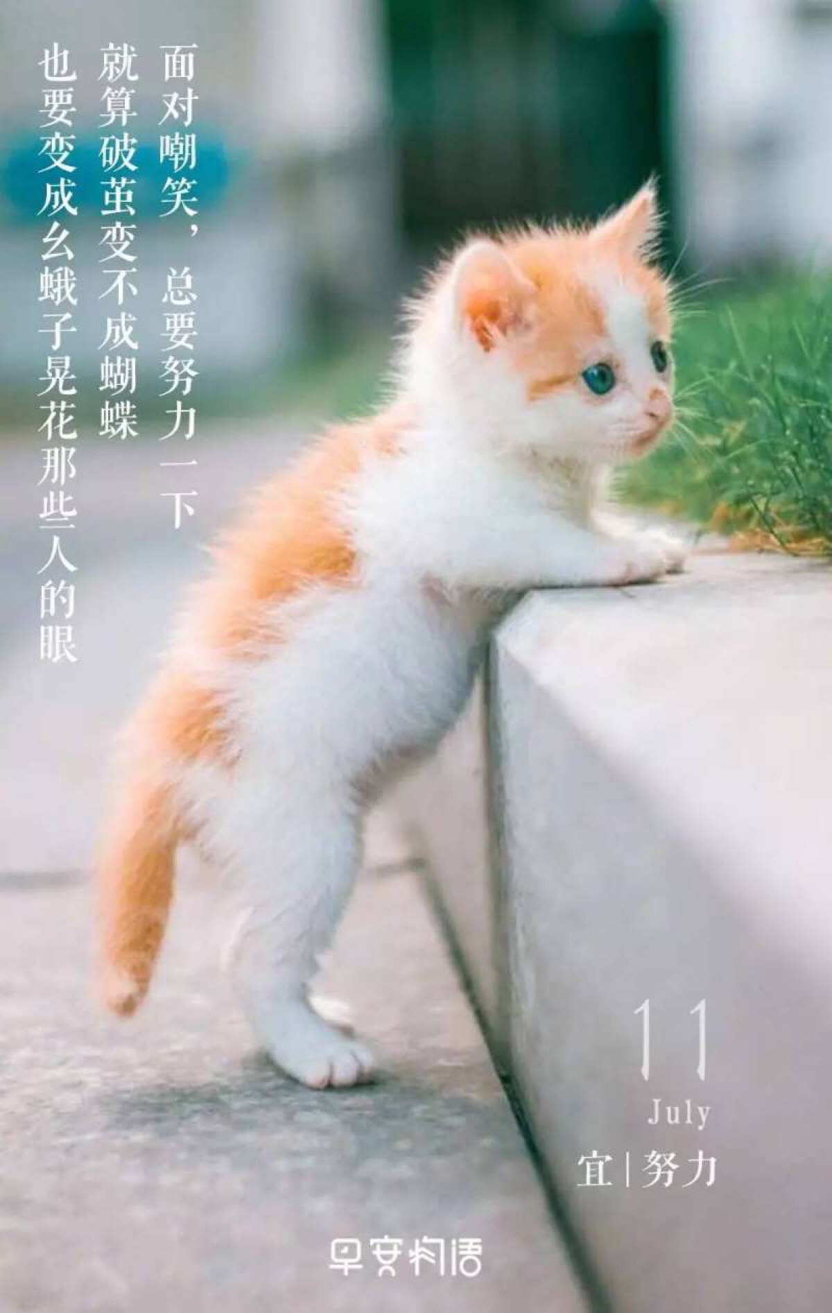 这一秒不放弃,下一秒就会有希望.早安
