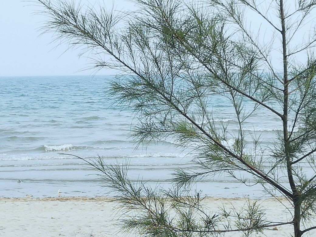 风平浪静