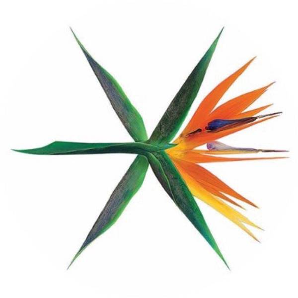 2017exo新logo,全新世界观,天堂鸟