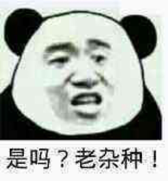 没有达成共识哈哈哈哈萌可爱表情包怼
